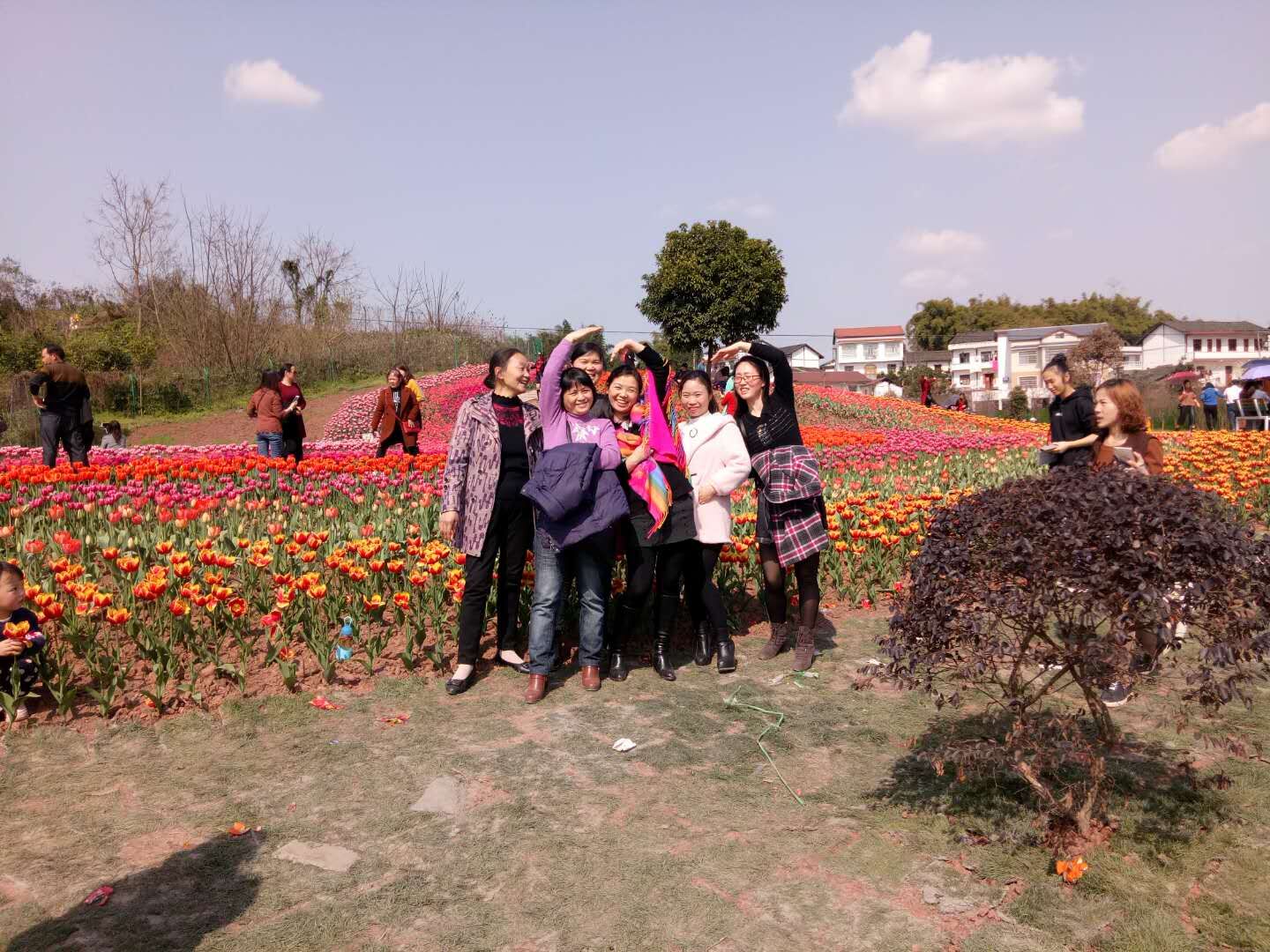 QQ圖片20180319170046.jpg