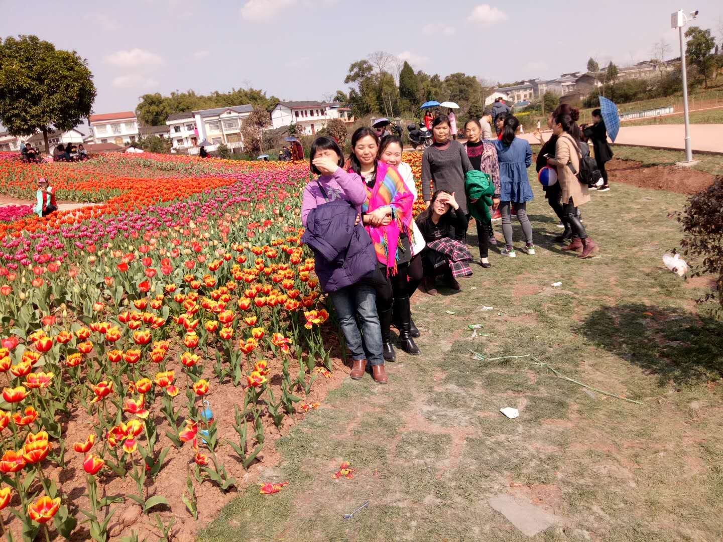 QQ圖片20180319170108.jpg