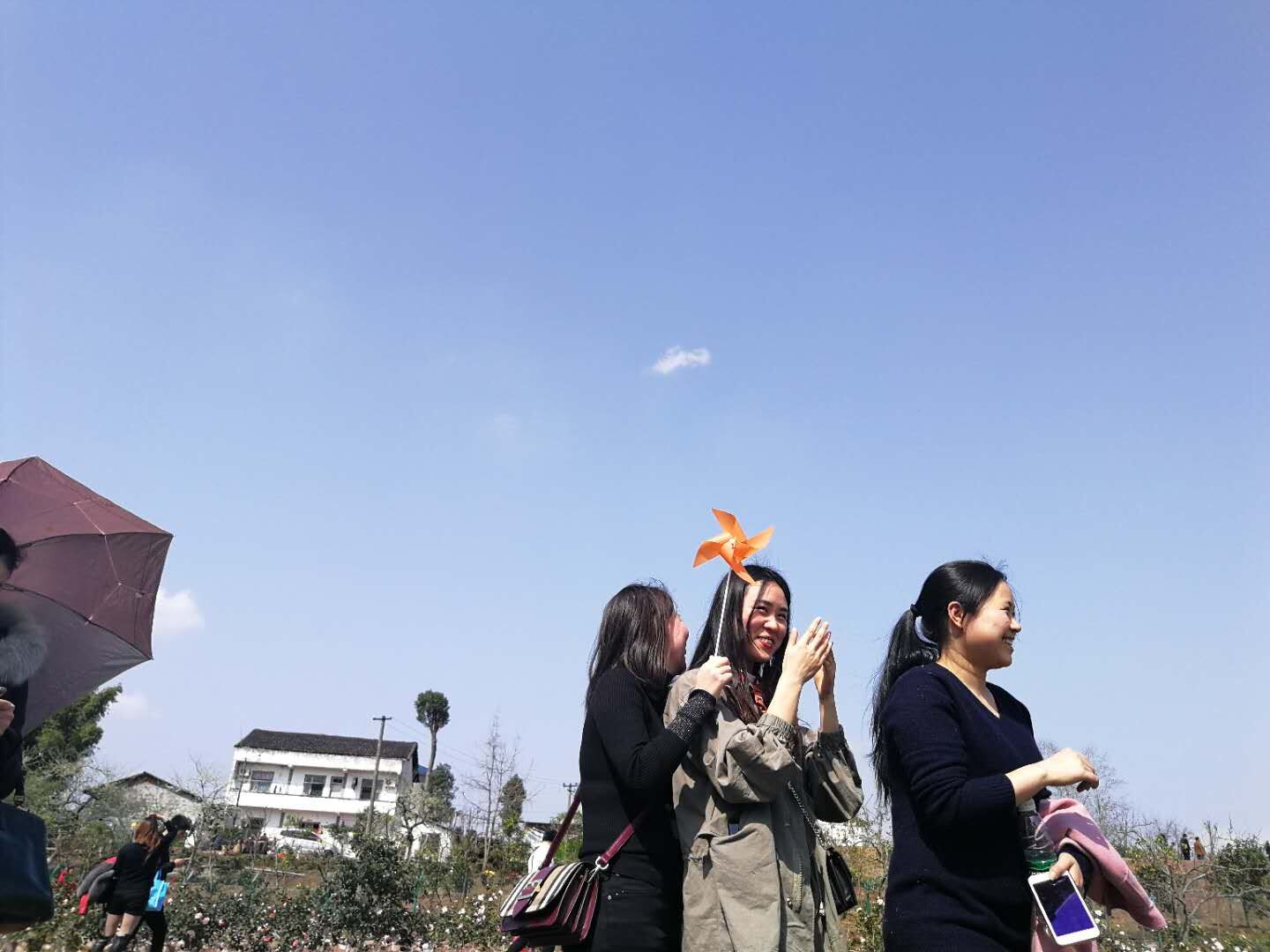 QQ圖片20180319170123.jpg